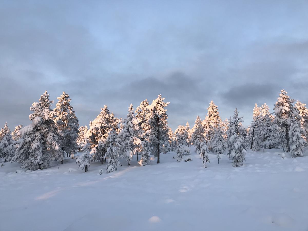 Sampo Studios Rovaniemi Exterior foto